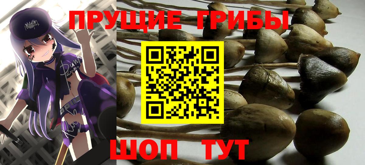 Галлюциногенные грибы ЛСД  Псилоцибиновые грибы ЛСД  Вход с VPN  где купить   Менделеевск 